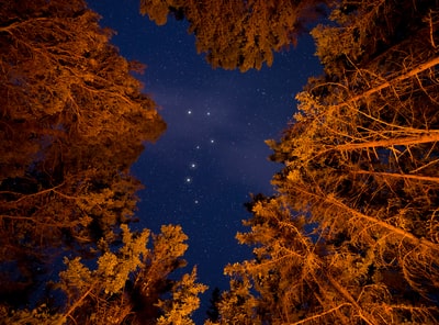 特拉华州星座的低角度摄影